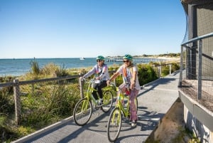 De Perth: Viagem de 1 dia de bicicleta e ferry para a ilha Rottnest