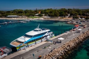 De Perth: Viagem de 1 dia de bicicleta e ferry para a ilha Rottnest