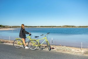 De Perth: Viagem de 1 dia de bicicleta e ferry para a ilha Rottnest