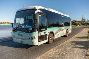 De Perth: Viagem de 1 dia de bicicleta e ferry para a ilha Rottnest