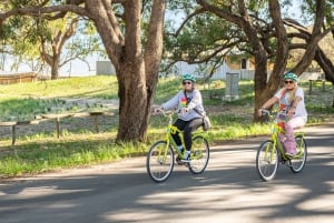 De Perth: Viagem de 1 dia de bicicleta e ferry para a ilha Rottnest