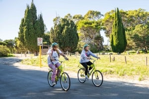 De Perth: Viagem de 1 dia de bicicleta e ferry para a ilha Rottnest