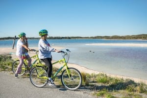 De Perth: Viagem de 1 dia de bicicleta e ferry para a ilha Rottnest
