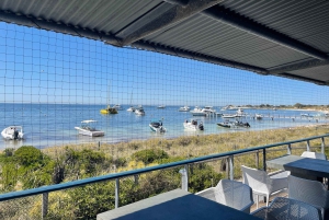 Vanuit Perth: Watervliegtuigvlucht naar Rottnest Island met lunch