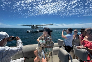 Vanuit Perth: Watervliegtuigvlucht naar Rottnest Island met lunch