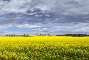 From Perth: Wave Rock Private Tour