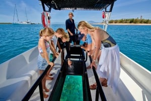 Vanuit Port Douglas: Low Isles Groot Barrièrerif zeiltocht