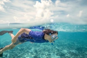 Da Port Douglas: crociera in catamarano di lusso sulla barriera corallina esterna