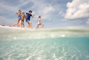 Da Port Douglas: crociera in catamarano di lusso sulla barriera corallina esterna