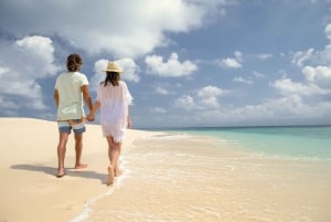 Da Port Douglas: crociera in catamarano di lusso sulla barriera corallina esterna