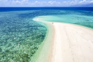 Da Port Douglas: crociera in catamarano di lusso sulla barriera corallina esterna