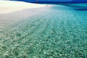 Da Port Douglas: crociera in catamarano di lusso sulla barriera corallina esterna