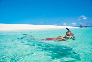 Da Port Douglas: crociera in catamarano di lusso sulla barriera corallina esterna