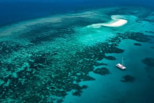 Da Port Douglas: crociera in catamarano di lusso sulla barriera corallina esterna
