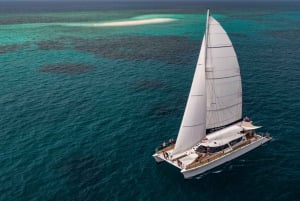 Da Port Douglas: crociera in catamarano di lusso sulla barriera corallina esterna