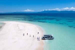 Da Port Douglas: crociera in catamarano di lusso sulla barriera corallina esterna