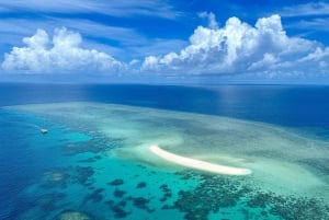 Da Port Douglas: crociera in catamarano di lusso sulla barriera corallina esterna