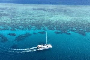 Da Port Douglas: crociera in catamarano di lusso sulla barriera corallina esterna