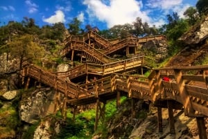 Из Порту: Авейру, пешеходные мостки Пайвы и подвесной мост