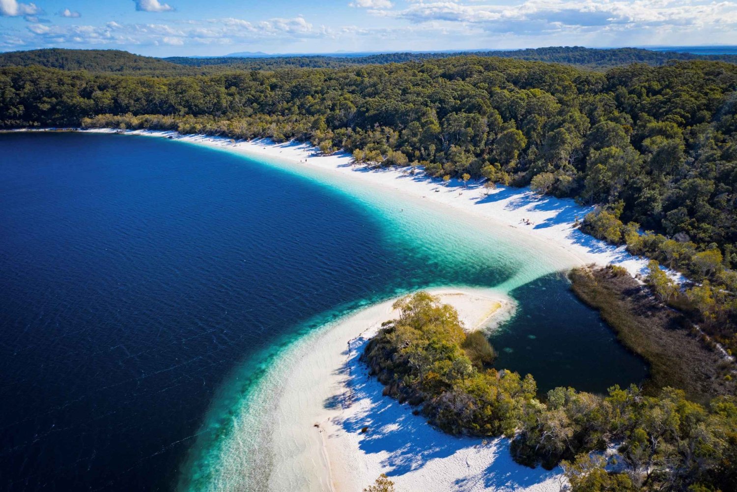 Van Rainbow Beach: K'gari Fraser Island Dagvullende tour per bus