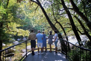 Z Sydney: 16-dniowa wycieczka „Najlepsze atrakcje wschodniego wybrzeża Australii”