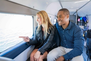 Vanuit Vancouver: enkele reis met watervliegtuig naar Victoria