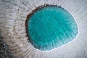 Vanuit Windsor: 2-daagse tour naar Phillip Island & Wilsons Promontory