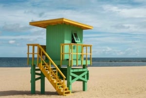 Vanuit Windsor: 2-daagse tour naar Phillip Island & Wilsons Promontory