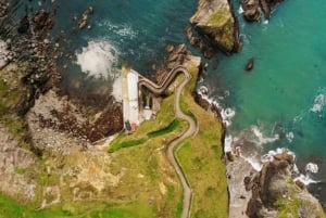 Vanuit Windsor: 2-daagse tour naar Phillip Island & Wilsons Promontory