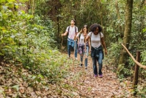 Vanuit Windsor: 2-daagse tour naar Phillip Island & Wilsons Promontory