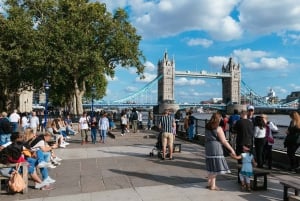 Full Day London Tour in a Private Vehicle with Admission