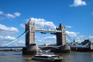 Full Day London Tour in a Private Vehicle with Admission