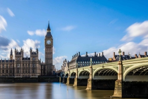 Full Day London Tour in a Private Vehicle with Admission