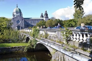 Город Голуэй: Пешеходная экскурсия с гидом продолжительностью 1,5 часа