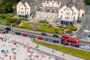 ゴールウェイ：市内観光乗り降り自由バスツアー