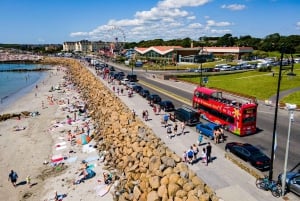 ゴールウェイ：市内観光乗り降り自由バスツアー