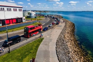 ゴールウェイ：市内観光乗り降り自由バスツアー