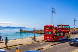 ゴールウェイ：市内観光乗り降り自由バスツアー