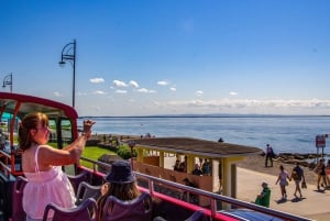 ゴールウェイ：市内観光乗り降り自由バスツアー