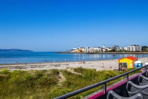 ゴールウェイ：市内観光乗り降り自由バスツアー