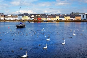 ゴールウェイ：市内観光乗り降り自由バスツアー