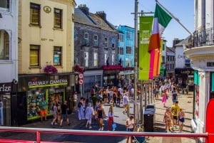 ゴールウェイ：市内観光乗り降り自由バスツアー