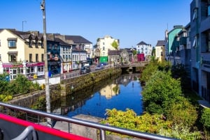 ゴールウェイ：市内観光乗り降り自由バスツアー