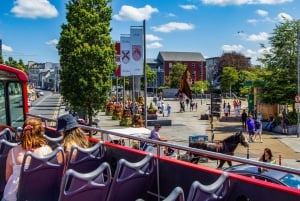 ゴールウェイ：市内観光乗り降り自由バスツアー