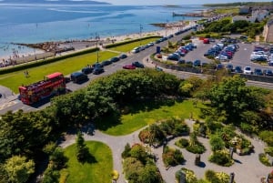 ゴールウェイ：市内観光乗り降り自由バスツアー