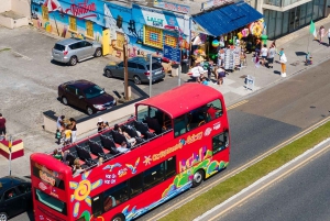 ゴールウェイ：市内観光乗り降り自由バスツアー