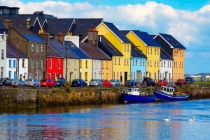 ゴールウェイ：市内観光乗り降り自由バスツアー