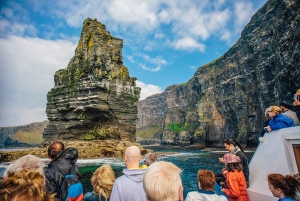 Galway, Cliffs of Moher en Connemara: 2-daagse combitour