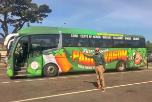 Galway, Cliffs of Moher en Connemara: 2-daagse combitour