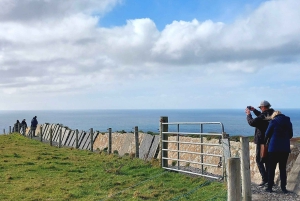 Galway: Cliffs of Moher Cruise, Bunratty Castle & Folk Park